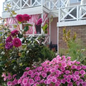 Лукоморье - 199