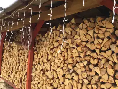 Агроусадьба Самуэлево - 22