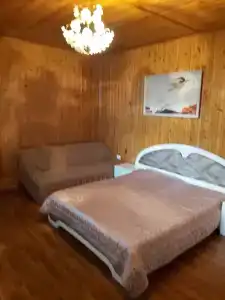 Особняк в живописном районе Куртатинского ущелья - 46