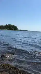 Дом на берегу - 42