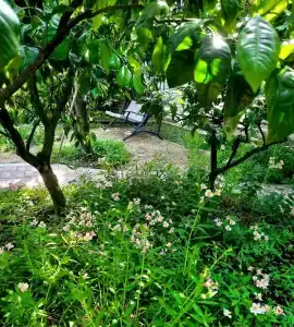 Квартиры на Цветочной 34 - 72