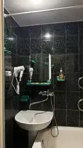 Золотой мустанг - 33