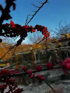 Уютный дизайнерский домик для отдыха - 83