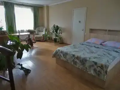 Дом с орехом во дворе - 12