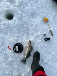 Новый дом у озера с баней в бору - 40