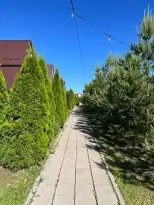 Павлов Вилладж - 31
