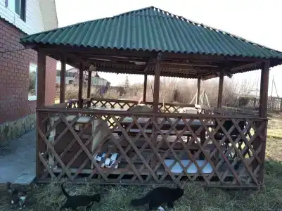 Жизнь за городом - 5