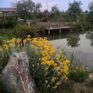 Дом для семейного отдыха без шумных соседей - 20