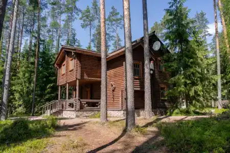 Шишки на Лампушке - 27