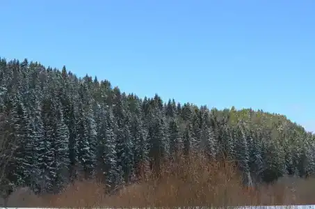 Берлога люкс - 9