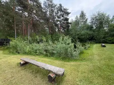 Медвежья Кара - 16