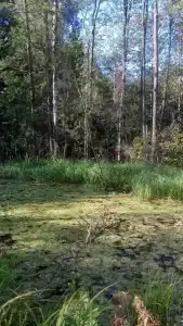 Коттедж у озера в Хабалинке - 37