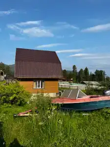 Кедровый рай - 21