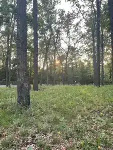 Дубовая Роща - 3