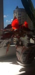 Apartment on Pritytskogo - 67