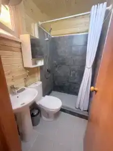 Коттедж, море, дельфины - 31