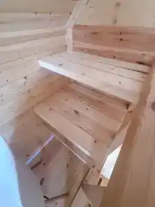 Коттедж, море, дельфины - 39