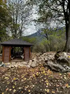 БАРСкая усадьба - 19