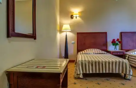 Мечта Тея - 101