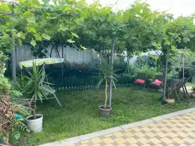 Лето всем - 5