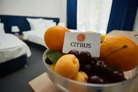 Citrus Life Plus - 14