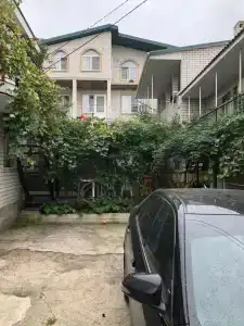 Bear family - 2