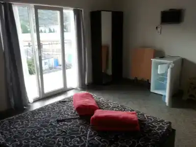 Голден роус - 7