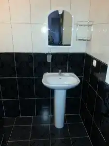 Голден роус - 8