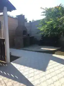 Катальпа - 4