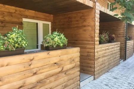 Катальпа - 5