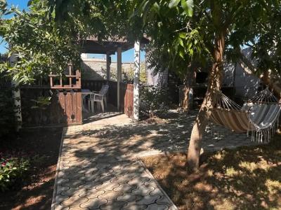 Катальпа - 6