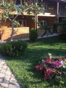 Катальпа - 0