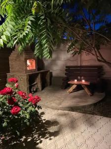 Катальпа - 7