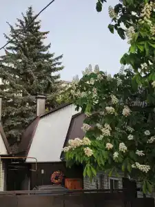 Большой Кавказ Loft - 6