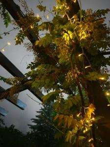 Большой Кавказ Loft - 28