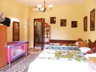 Дикая лоза - 9