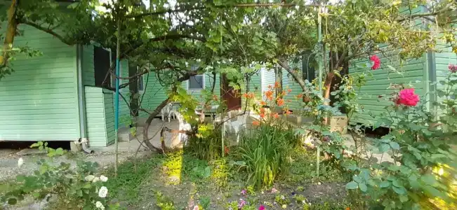 Тихий сад - 2