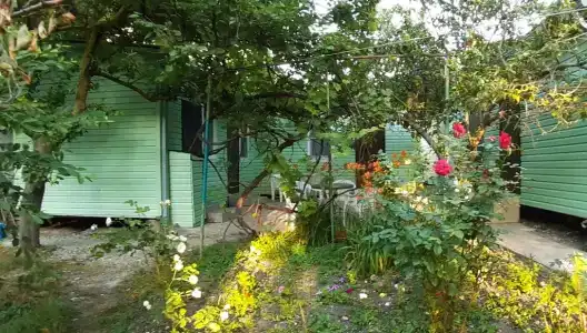 Тихий сад - 4