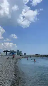 Тихий сад - 9