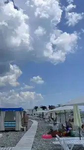 Тихий сад - 8