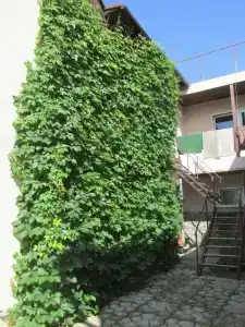 Гостевой дом на Луговой 22 - 3