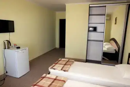 Колибри - 20