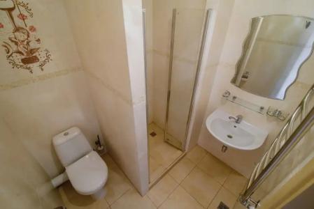 Каштановый особняк - 17