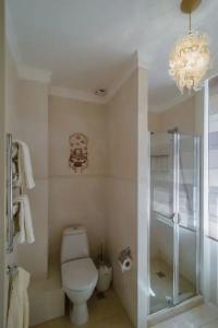 Каштановый особняк - 21