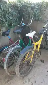 То, что надо! - 54