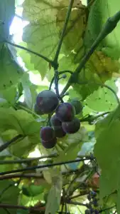 То, что надо! - 89