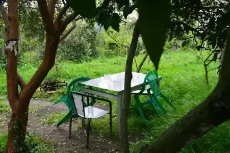 У-Дачный Дом - 9
