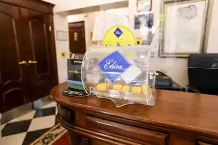 Принцесса Элиза - 5
