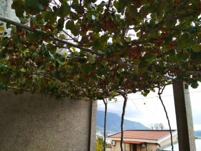 Апарт-Vila Miranovic - 50