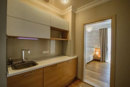 Каштановый особняк - 25